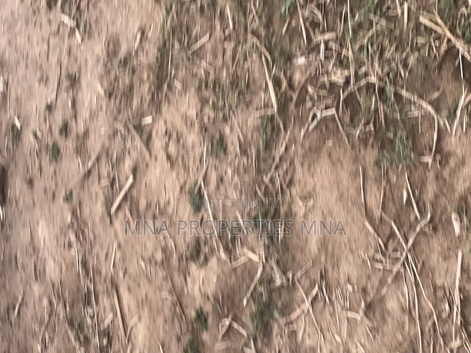Double King Villa Guzape 2 in Guzape District