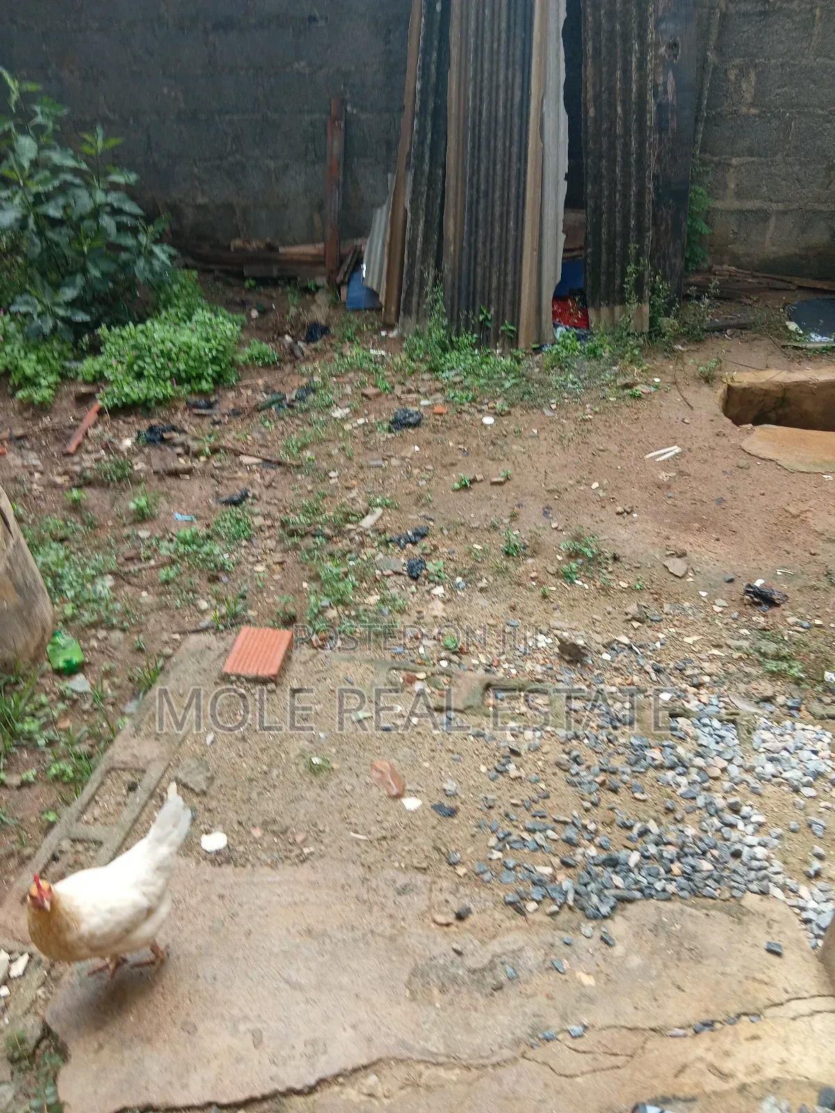 Euc Homes 600sqm Ibeju Royal Countryard in Ibeju
