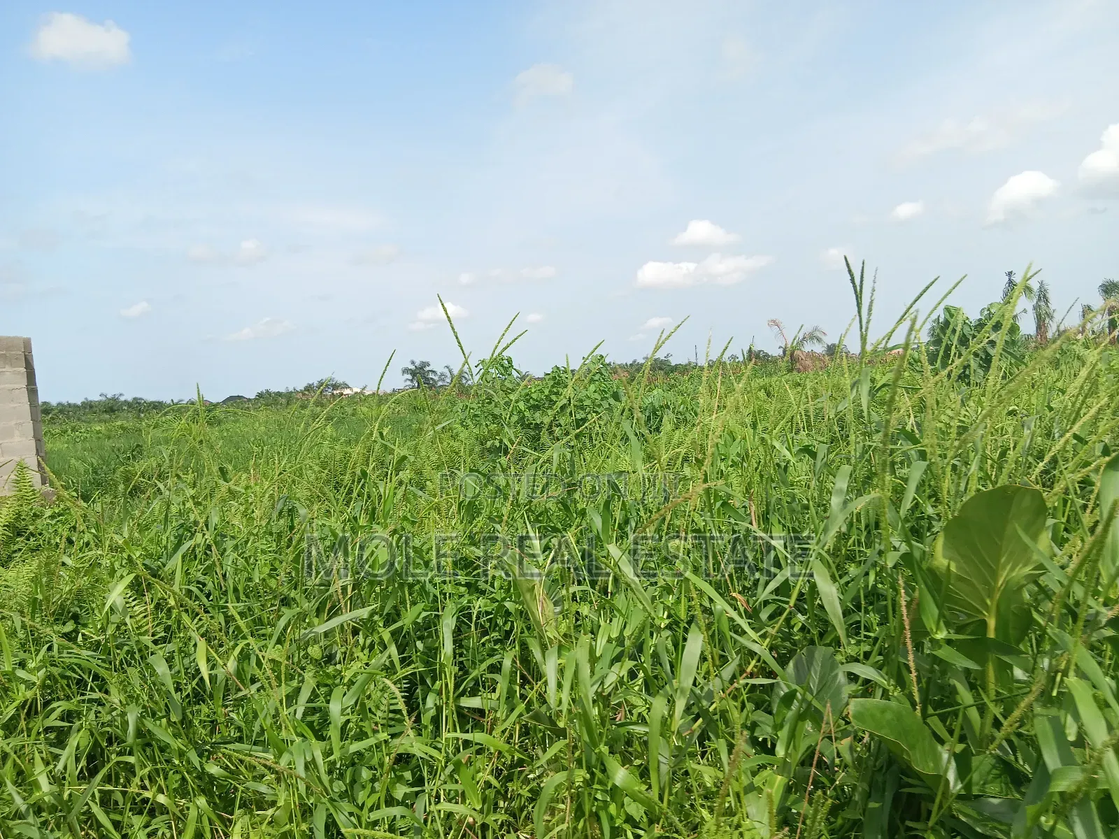 Euc Homes 600sqm Cherywood Ext Leki Freetrade Zone in Lekki
