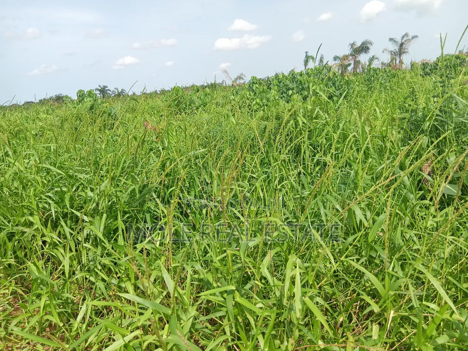 Euc Homes 600sqm Hapton Court Onosa Ibejù Leki in Ibeju
