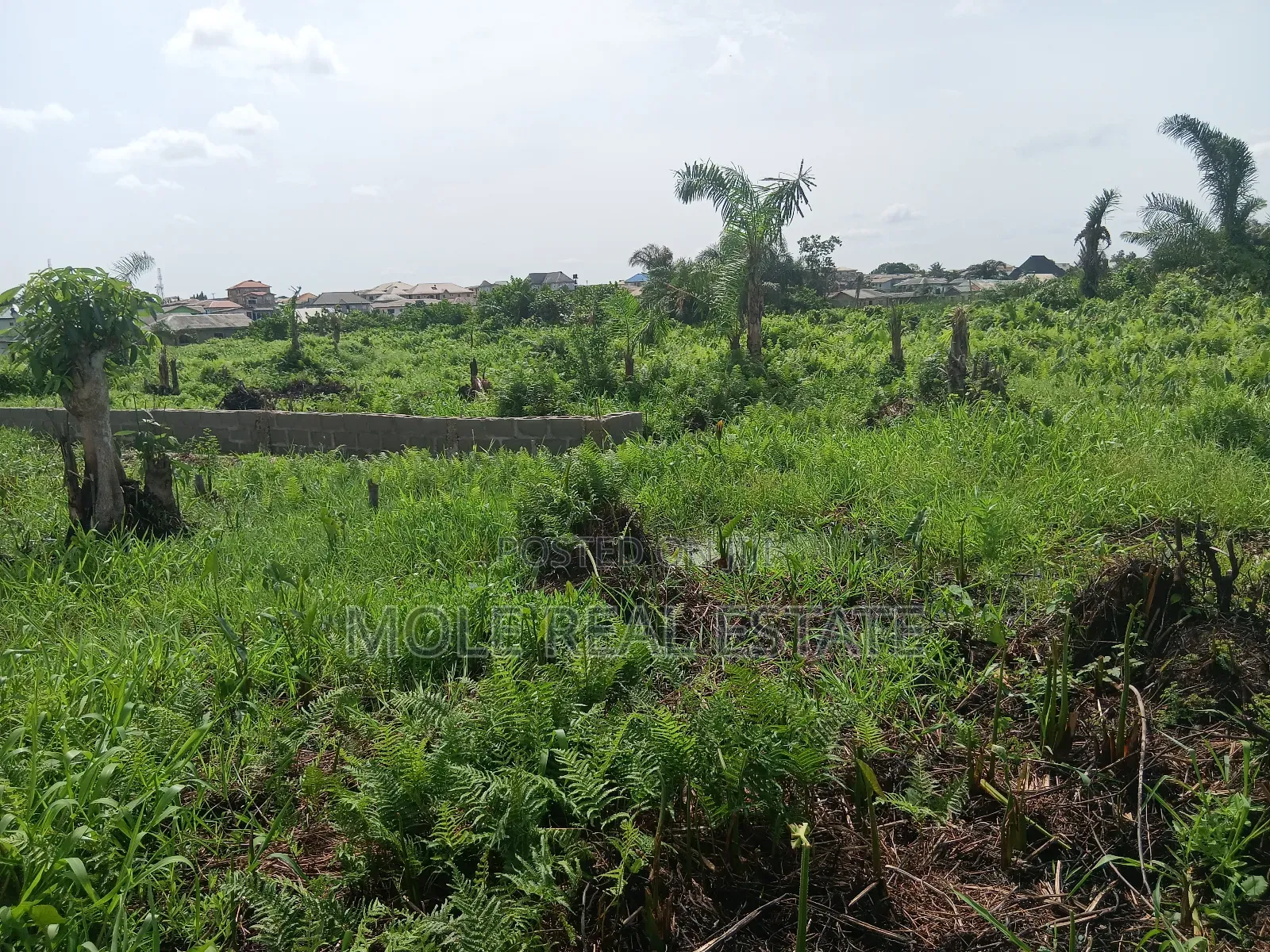 Euc Homes 600sqm Oceanwood Court Ext in Ibeju