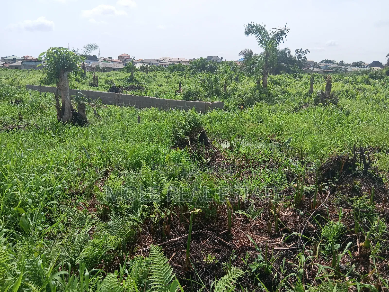 Euc Homes 600sqm Oceanwood Court Ext in Ibeju