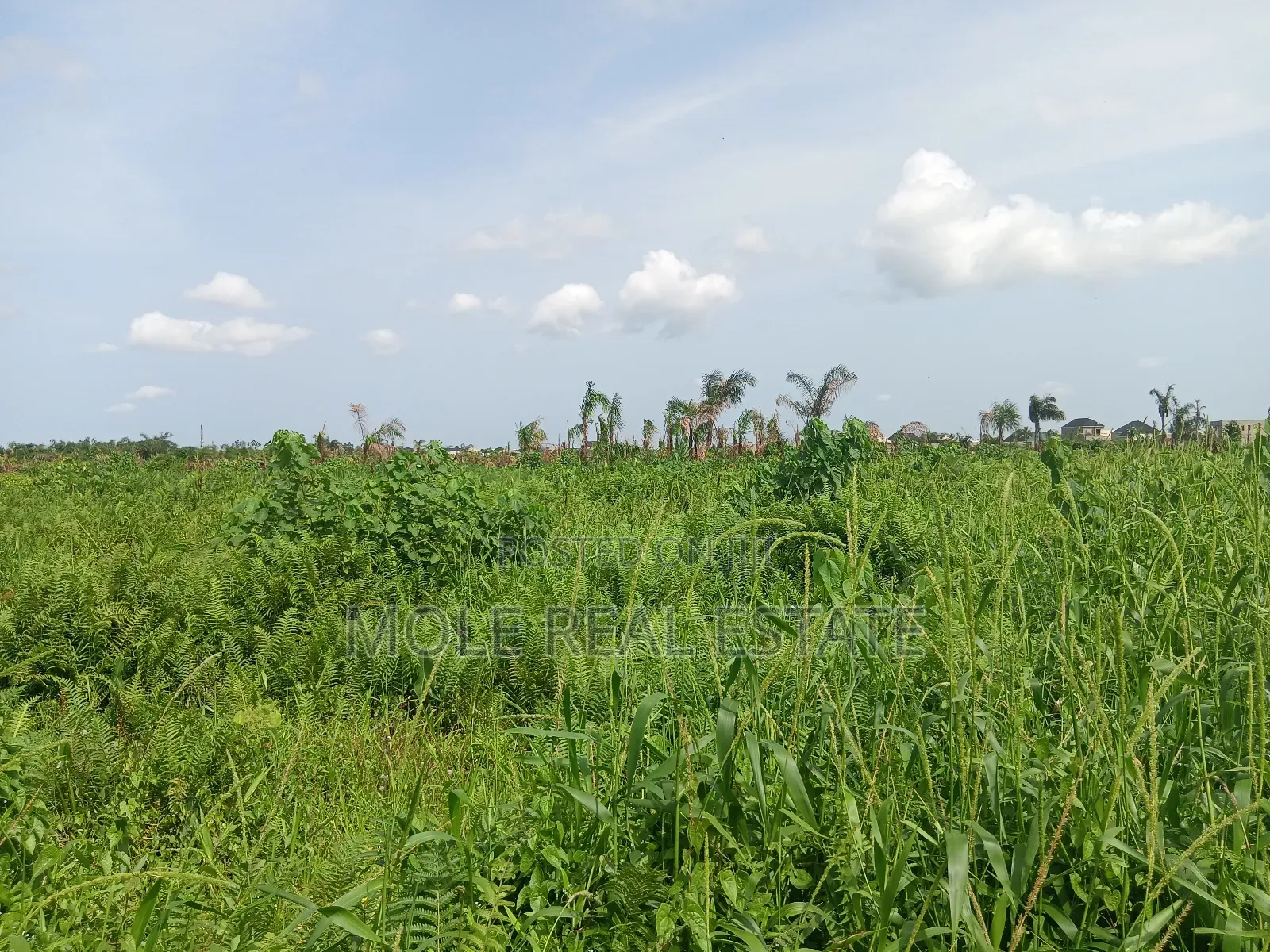 Euc Homes 600sqm Oceanwood Court Ext in Ibeju