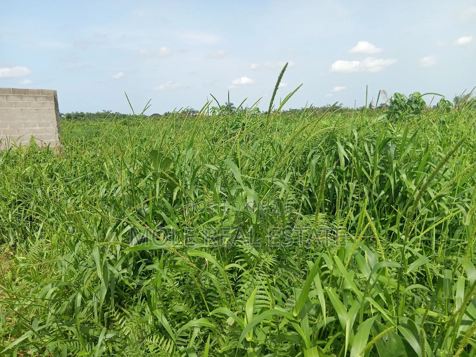 9 Acres Of Dry Land 4 Sale By Redeem New Auditorium in Obafemi-Owode