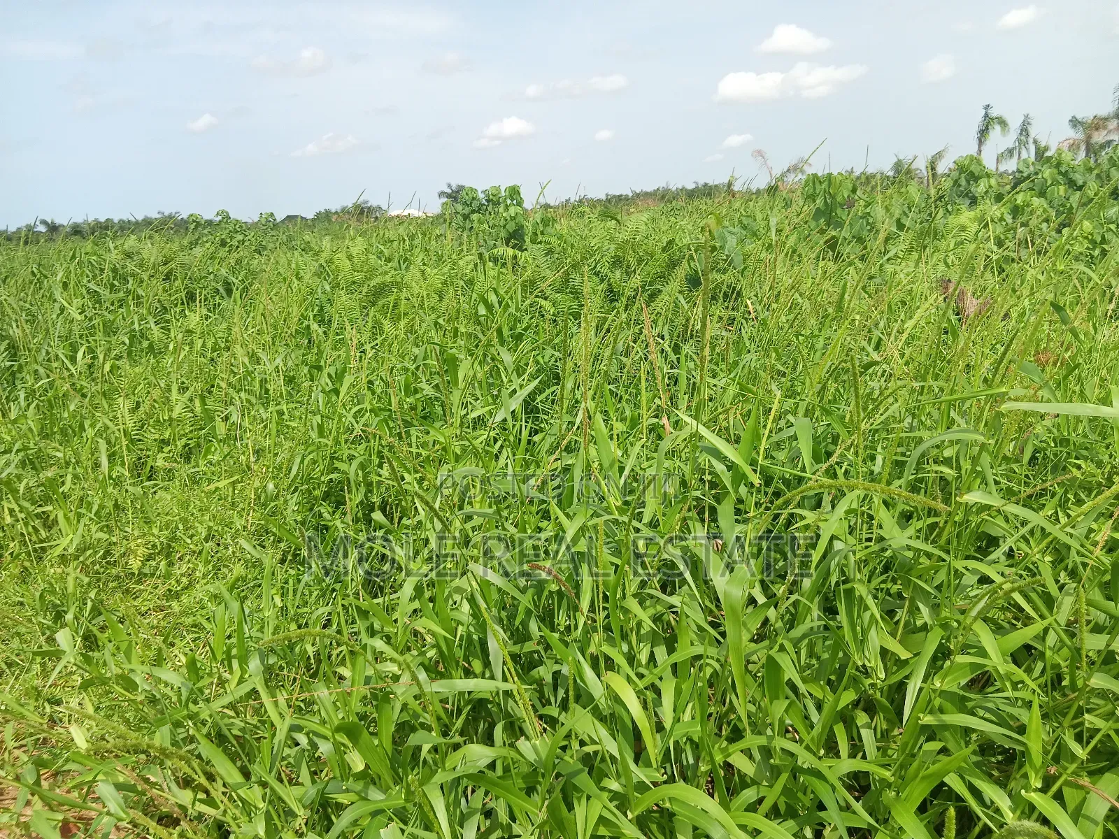 Euc Homes White Oaks Courts Free Trade Zone in Lekki