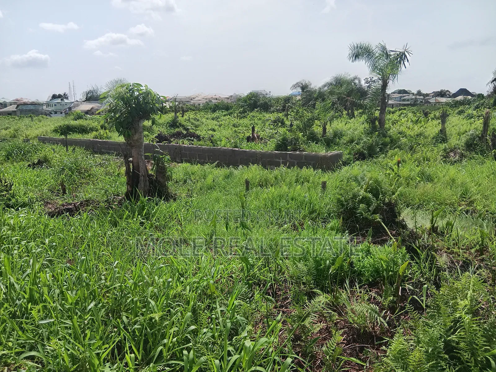 Euc Homes Silver Courts Extenxion Ojo Alaba in Ojo