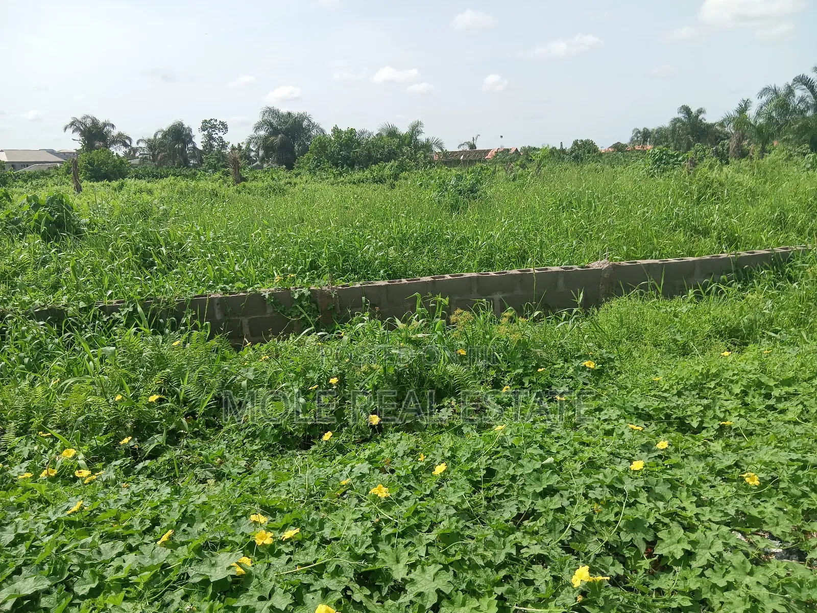 Euc Homes Springwood Courts Estate Ibeju Leki in Ibeju