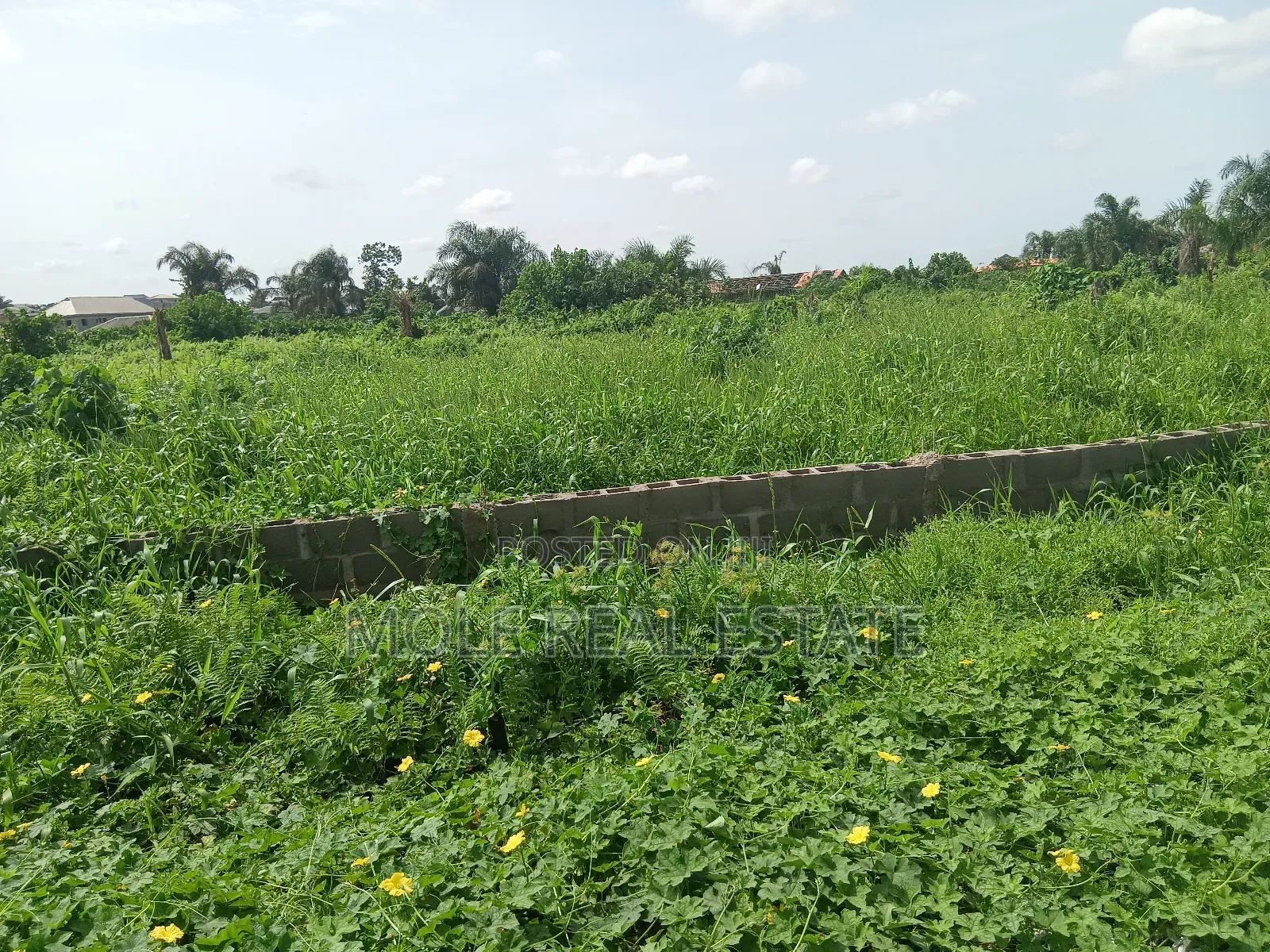 Euc Homes Springwood Courts Estate Ibeju Leki in Ibeju