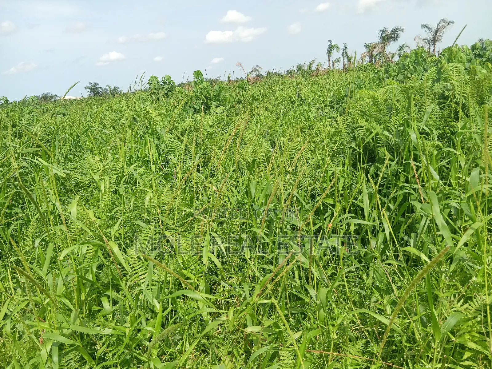 7 Victoria Island Plots 4 Outright Sales in Victoria Island