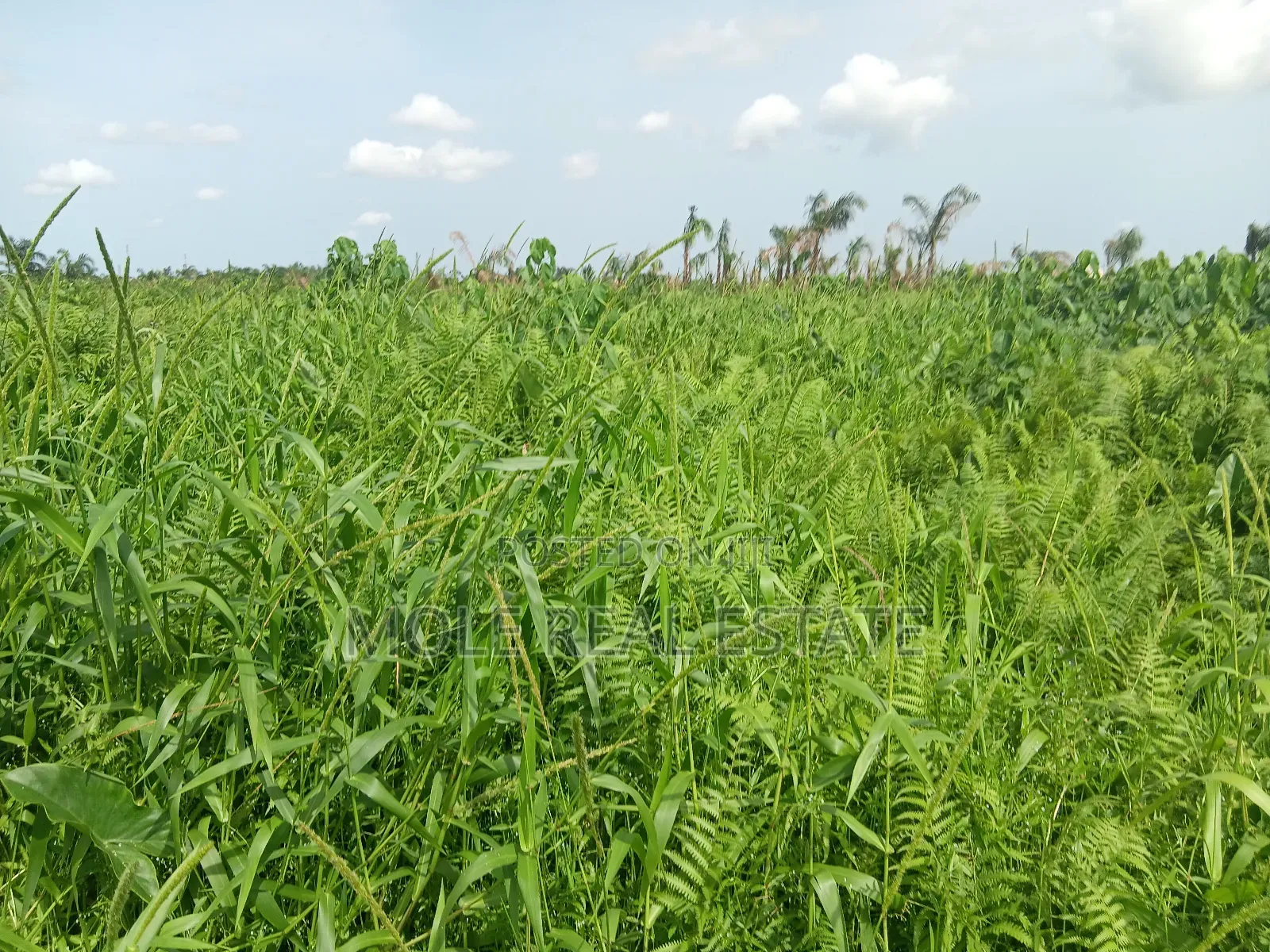Euc Homes 600sqm Commercial Courtyard in Ibeju