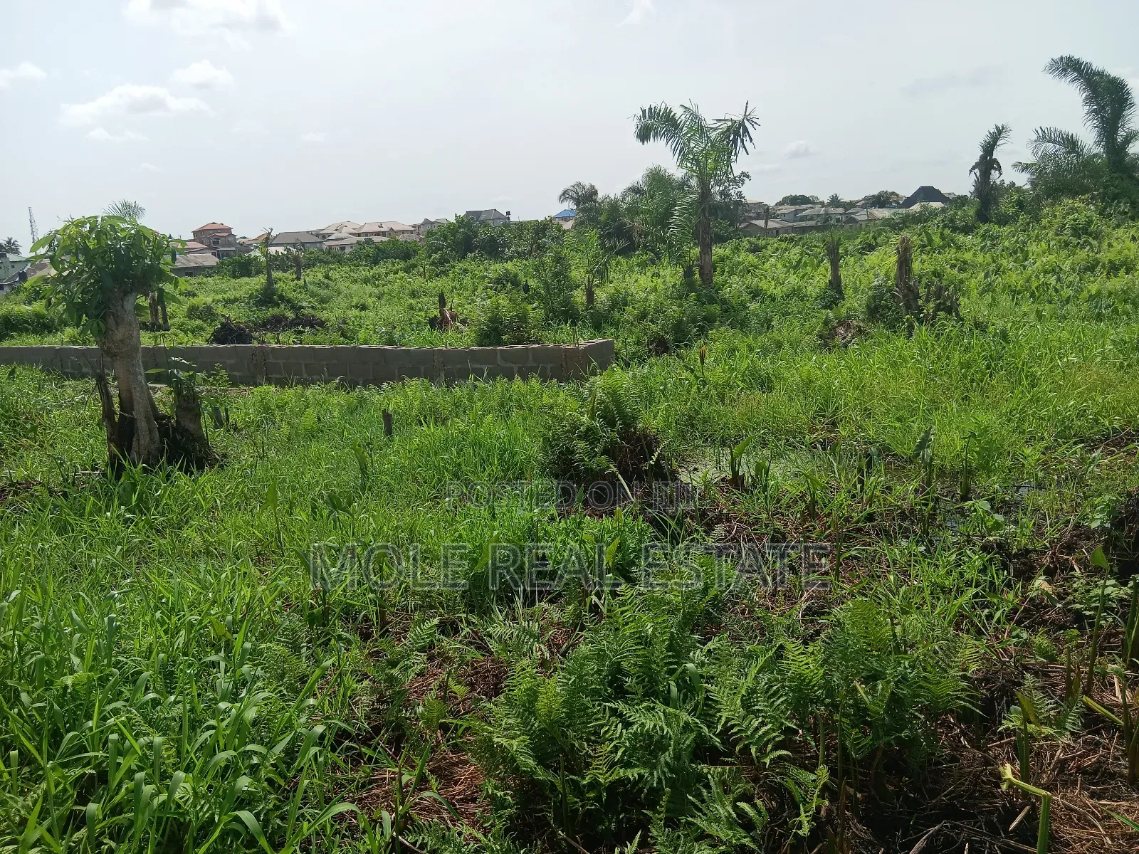 Euc Homes 600sqm Ocean Wood Court Ibeju Leki in Ibeju
