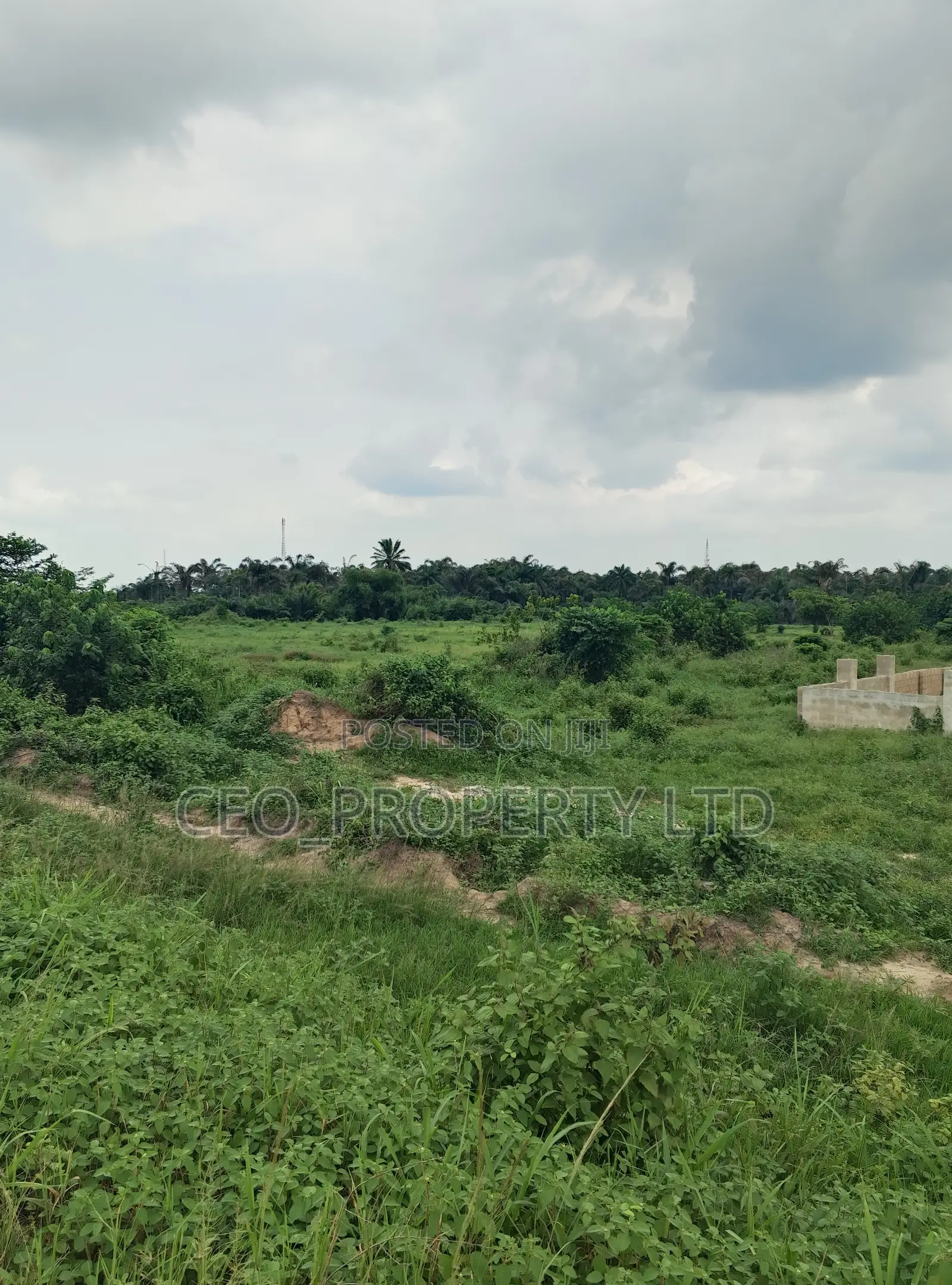 Agriculture Land (Farm Land) Sell. in Epe Road