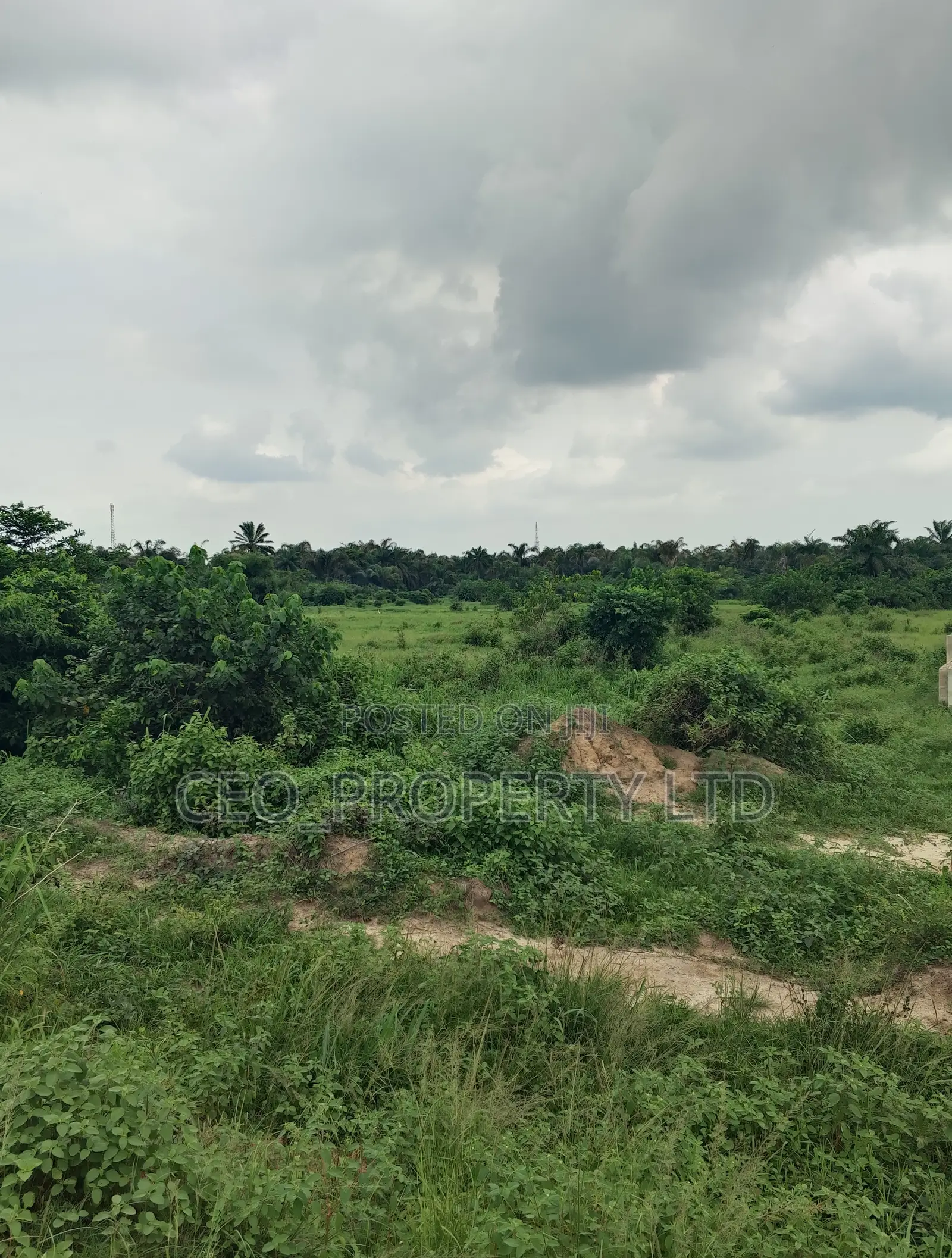 Agriculture Land (Farm Land) Sell. in Epe Road