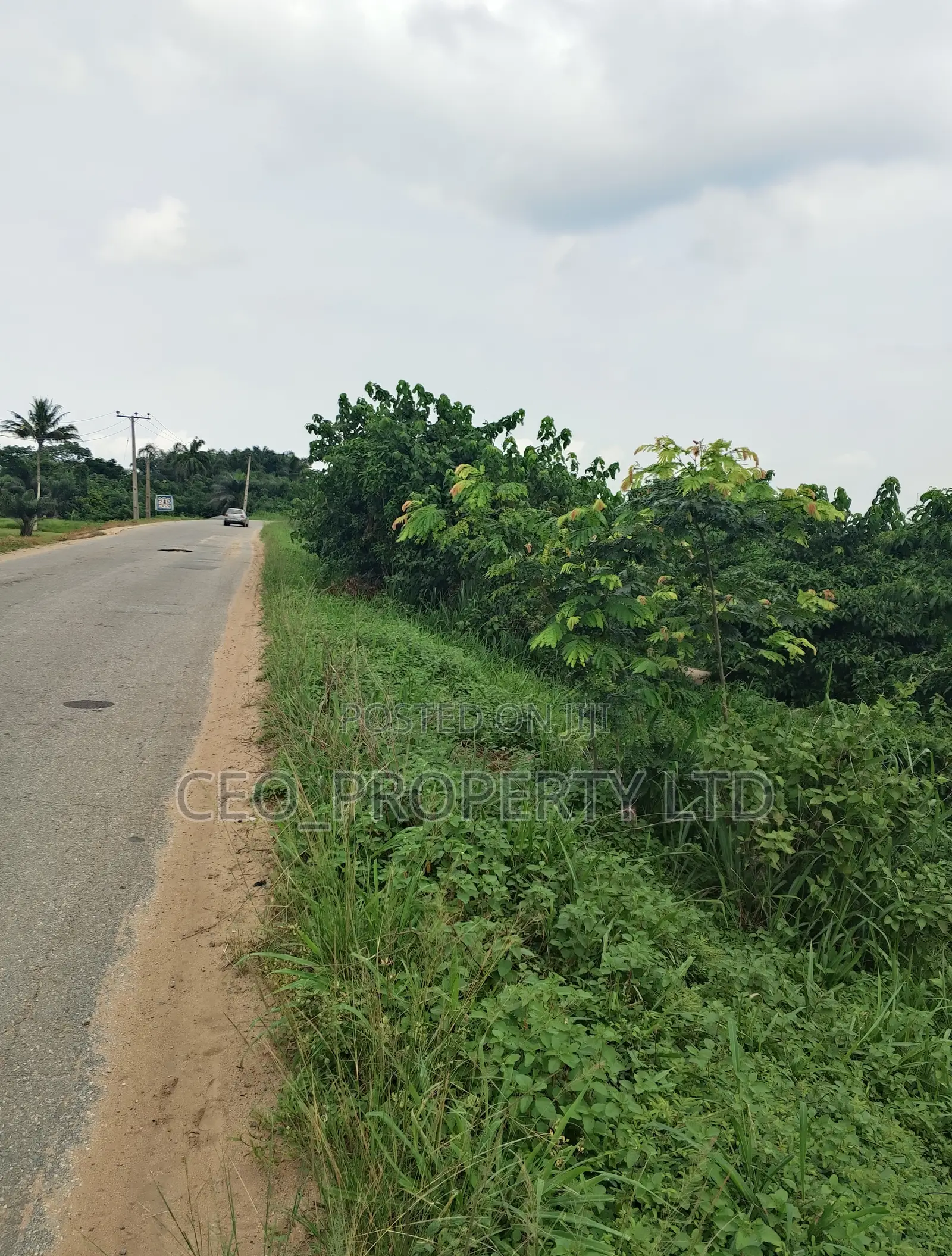 Agriculture Land (Farm Land) Sell. in Epe Road