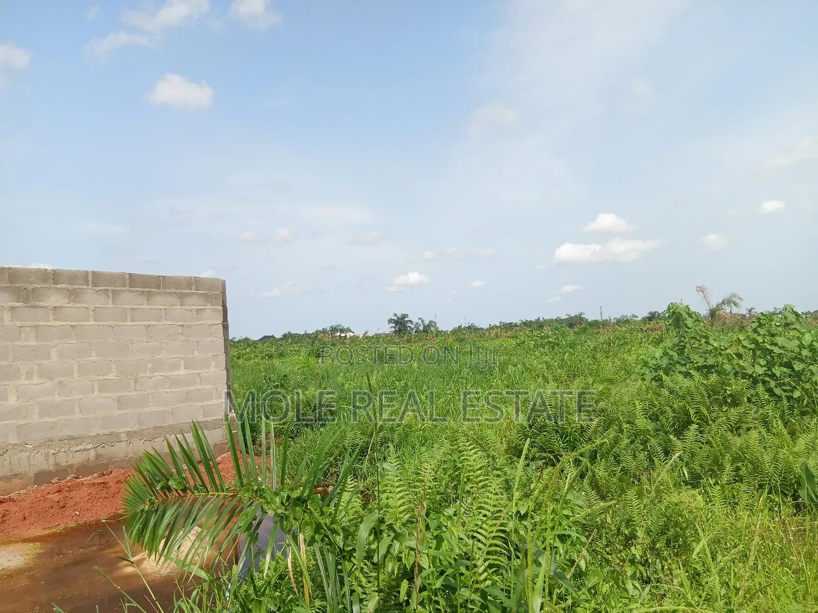 Euc Homes 600sqm Ocean Wood Court Ibeju Leki in Ibeju