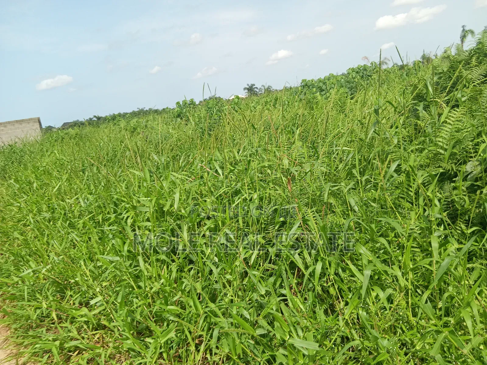 Euc Homes 600sqm Brooksville Courts in Ibeju