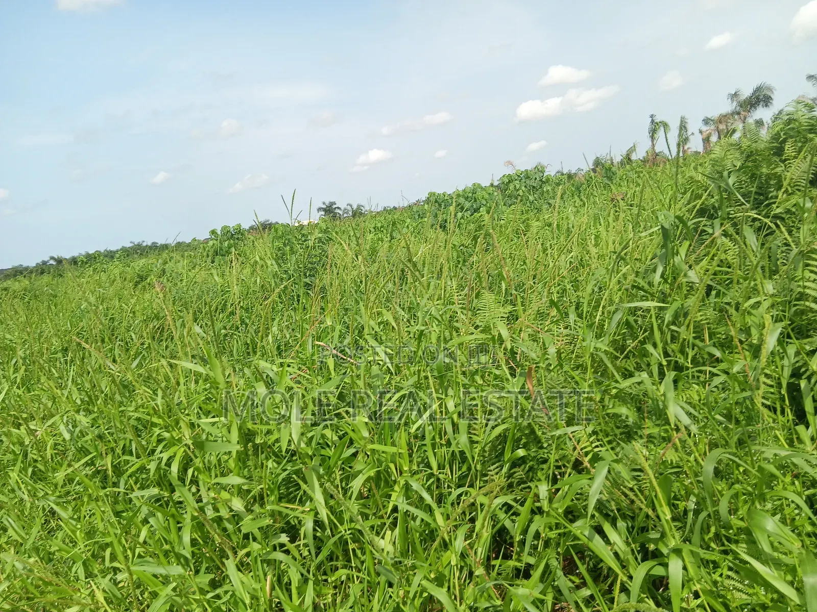 Euc Homes 600sqm Brooksville Courts in Ibeju