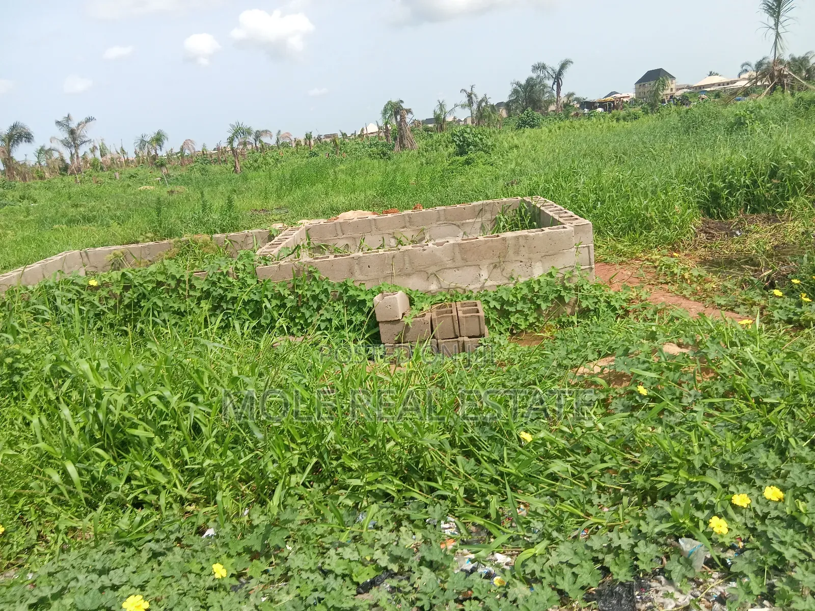 Old Ikoyi Land/ Banana Island 4 Sale ( 1 in Old Ikoyi