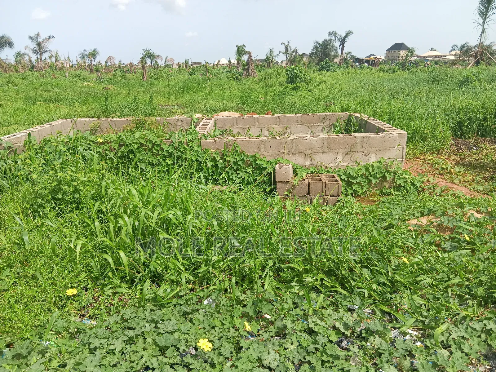 Old Ikoyi Land/ Banana Island 4 Sale ( 1 in Old Ikoyi