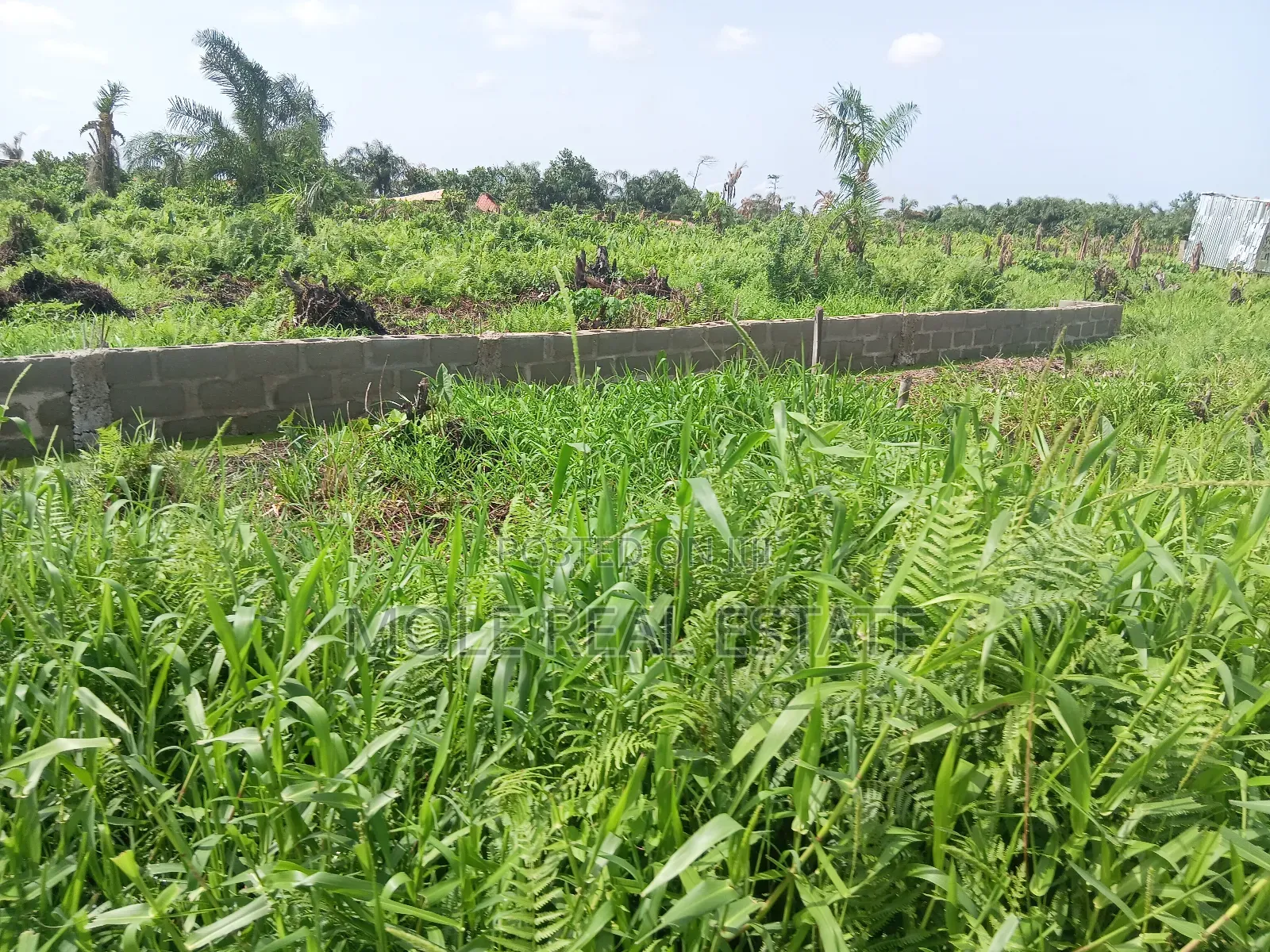 Old Ikoyi Plots 4 Sale Updated Version in Old Ikoyi