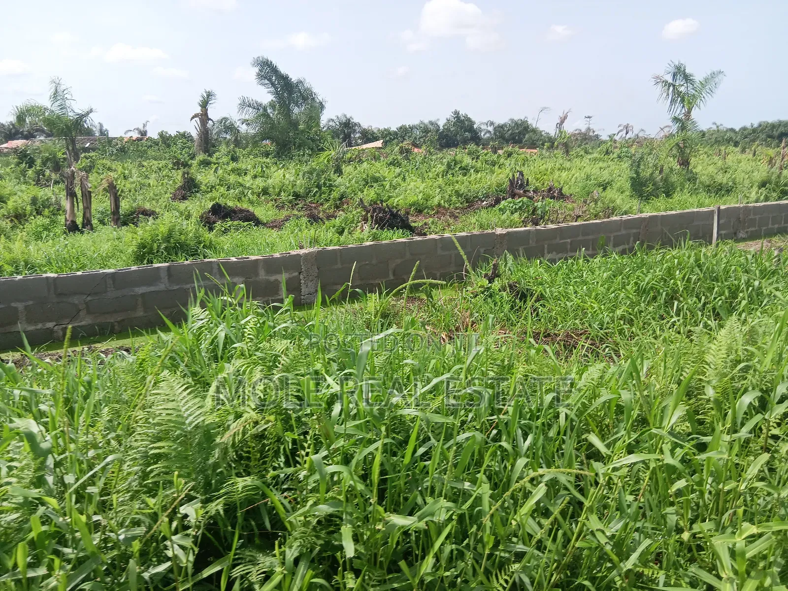 Old Ikoyi Plots 4 Sale Updated Version in Old Ikoyi
