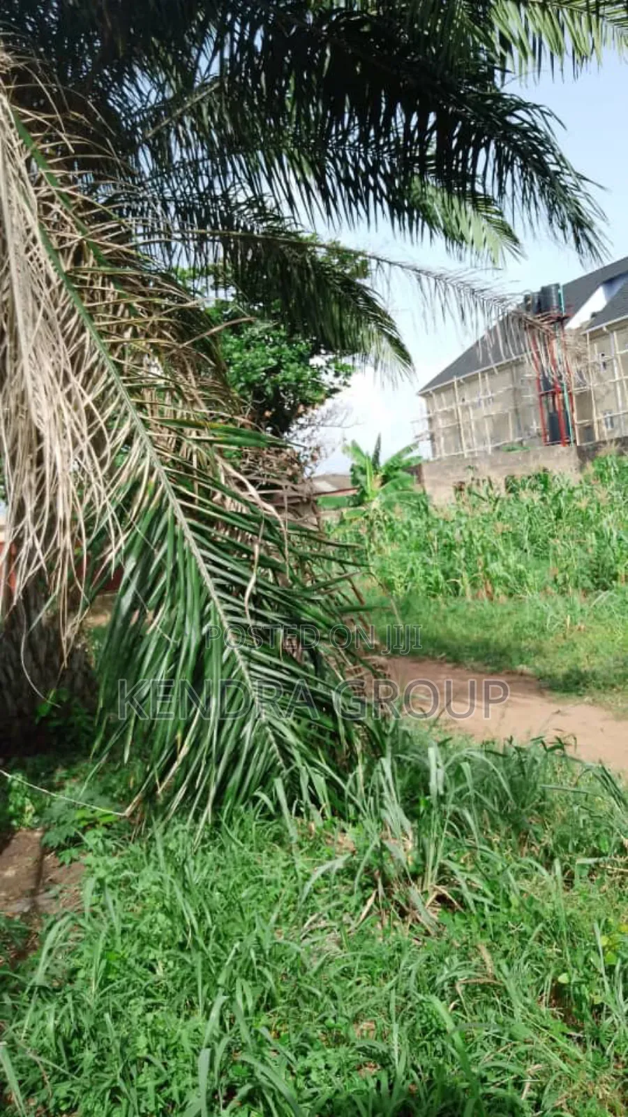 Full Plot of Land for Sale at Omitoro in Ikorodu