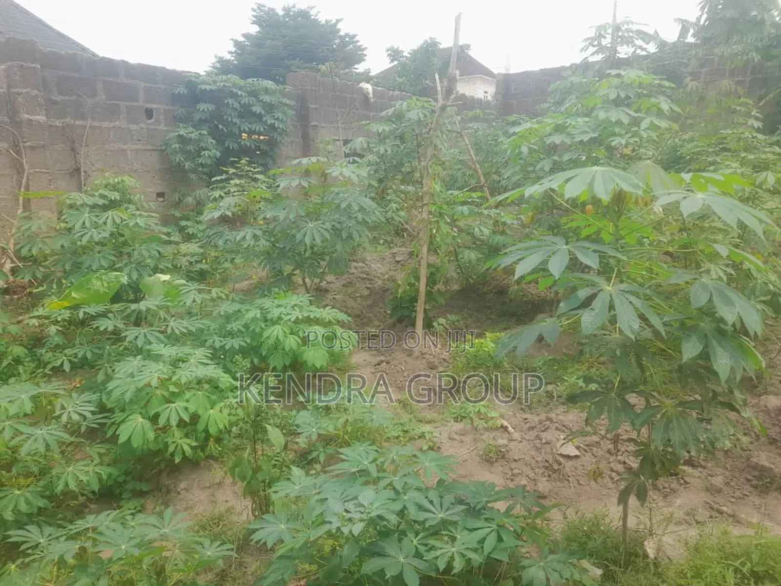 Plot of Land at Unity Estate, Off Elepe Road, Ikorodu in Ikorodu