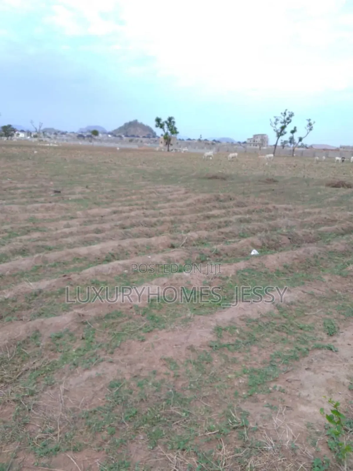 Affordable Land for Sale at Ifite Awka Anambra State in Awka