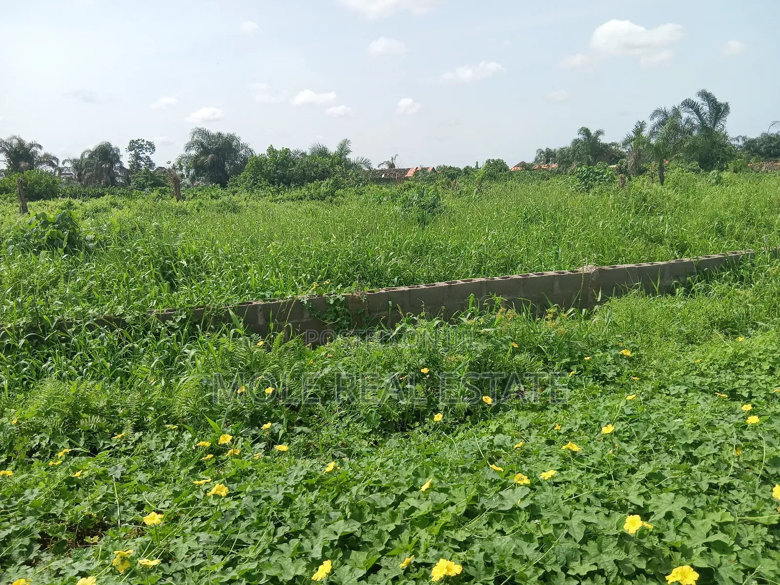 3400sqm Prime Land 4 Sale by St. Gregory Ikoyi in Old Ikoyi