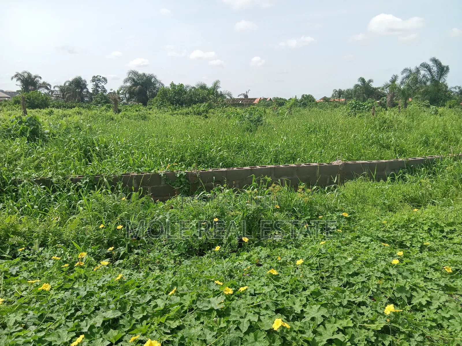 3400sqm Prime Land 4 Sale by St. Gregory Ikoyi in Old Ikoyi
