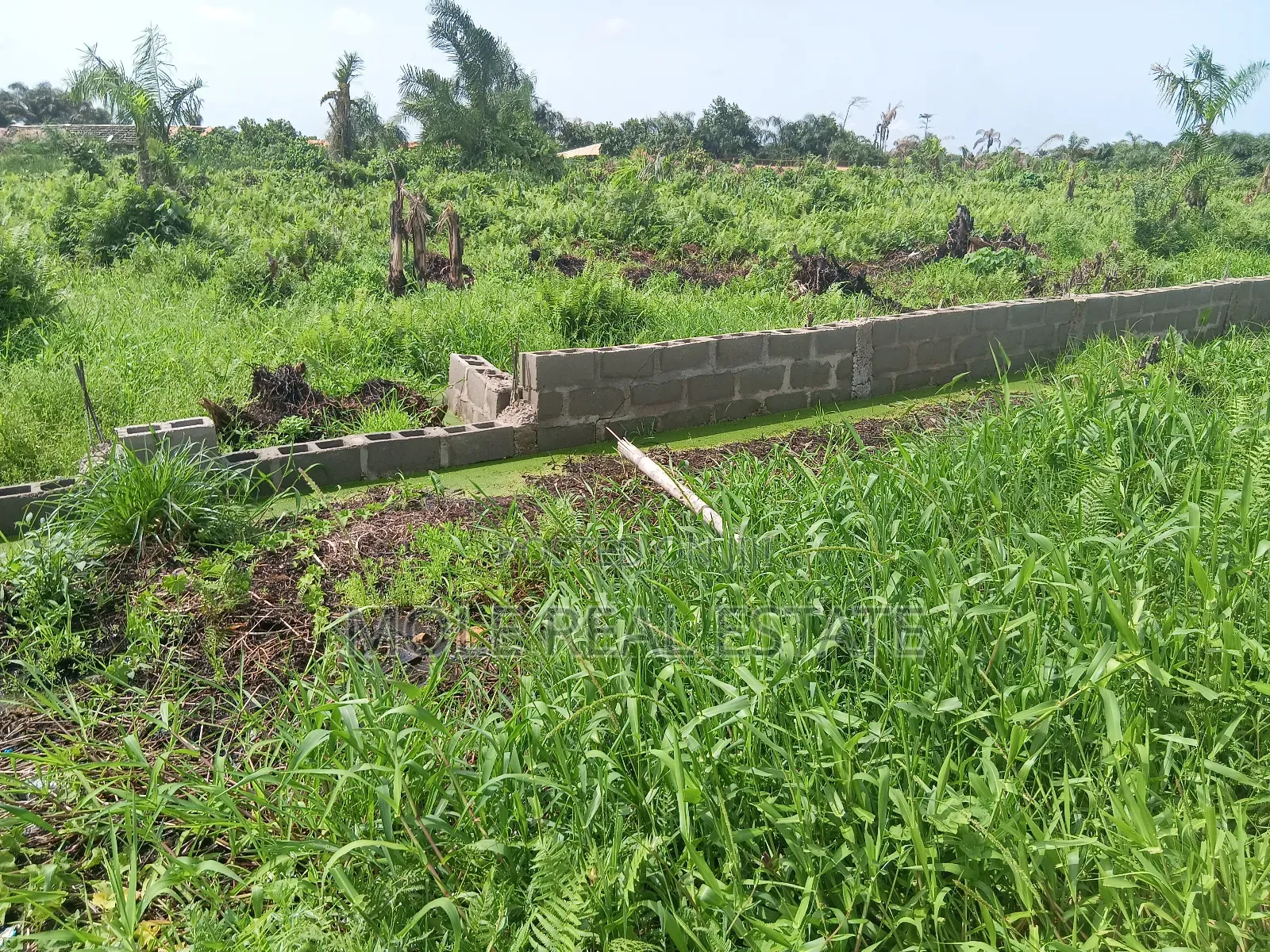 979 483 SQM Ben Okagbue Leki Phase 1 in Lekki Phase 1
