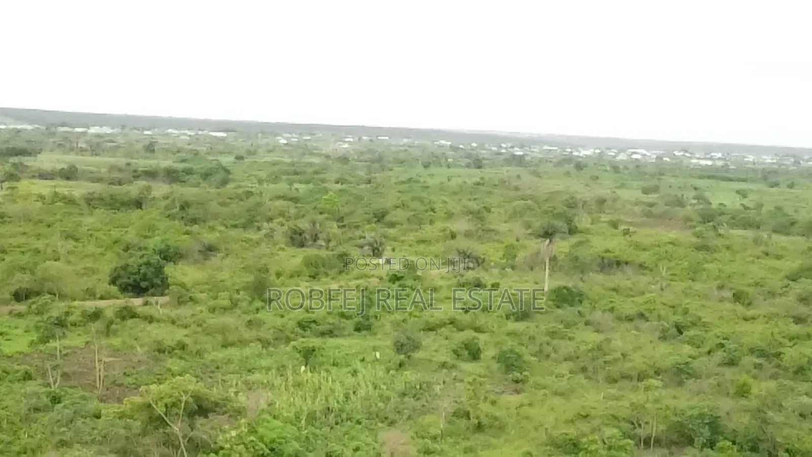 Ewekoro Goldmine in Ewekoro