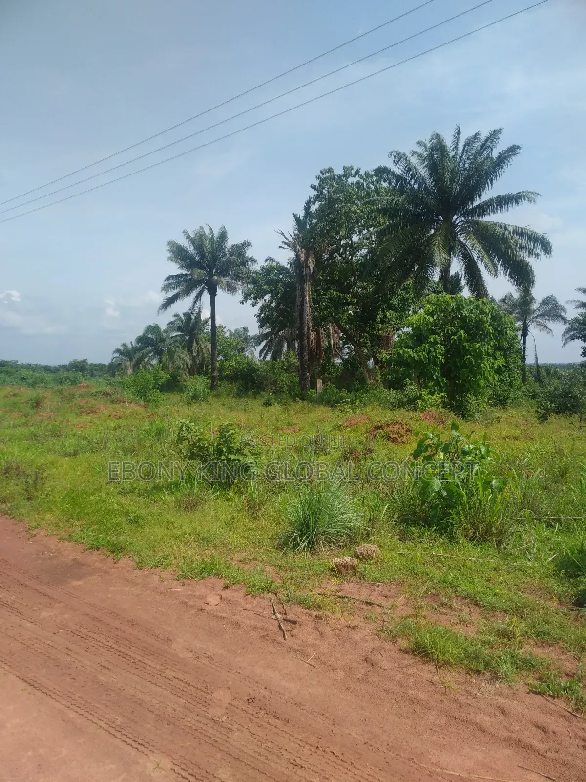 Wealthland Estate Phase 2 Awka in Awka