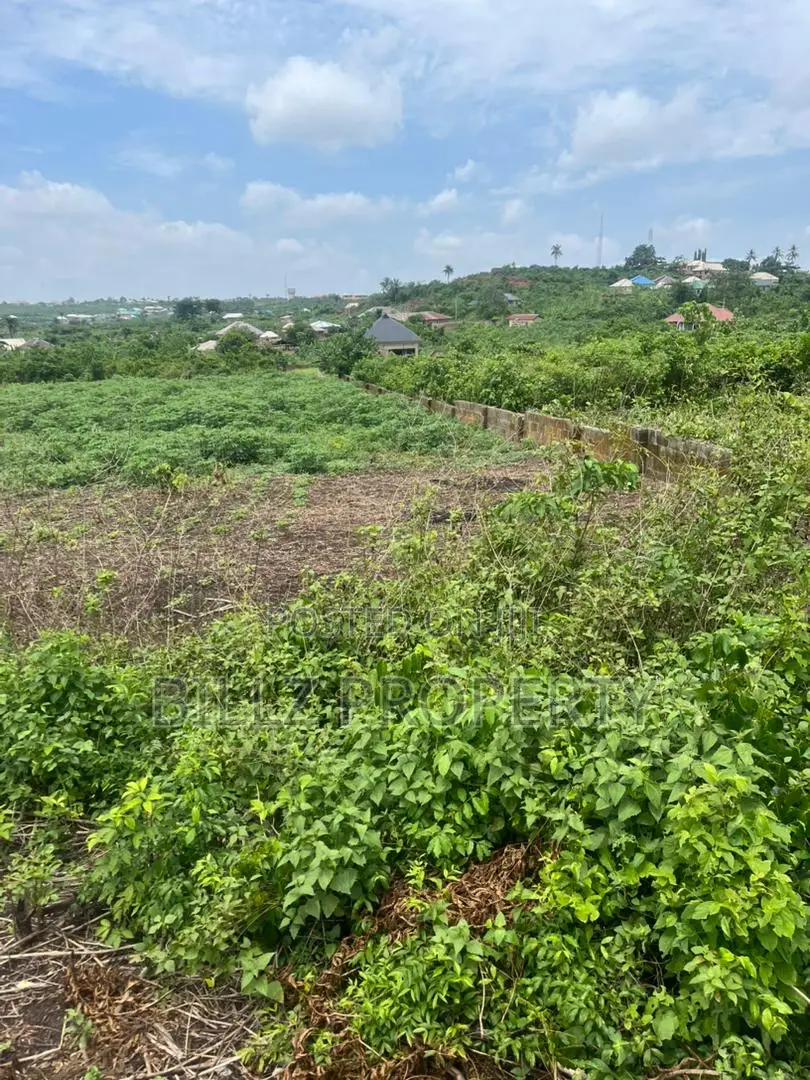 A Complete Full Plot of Land in a Serene Environment in Epe