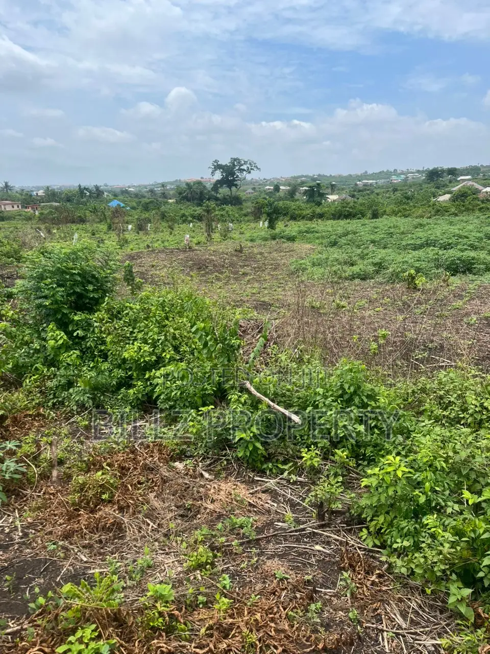 A Complete Full Plot of Land in a Serene Environment in Epe