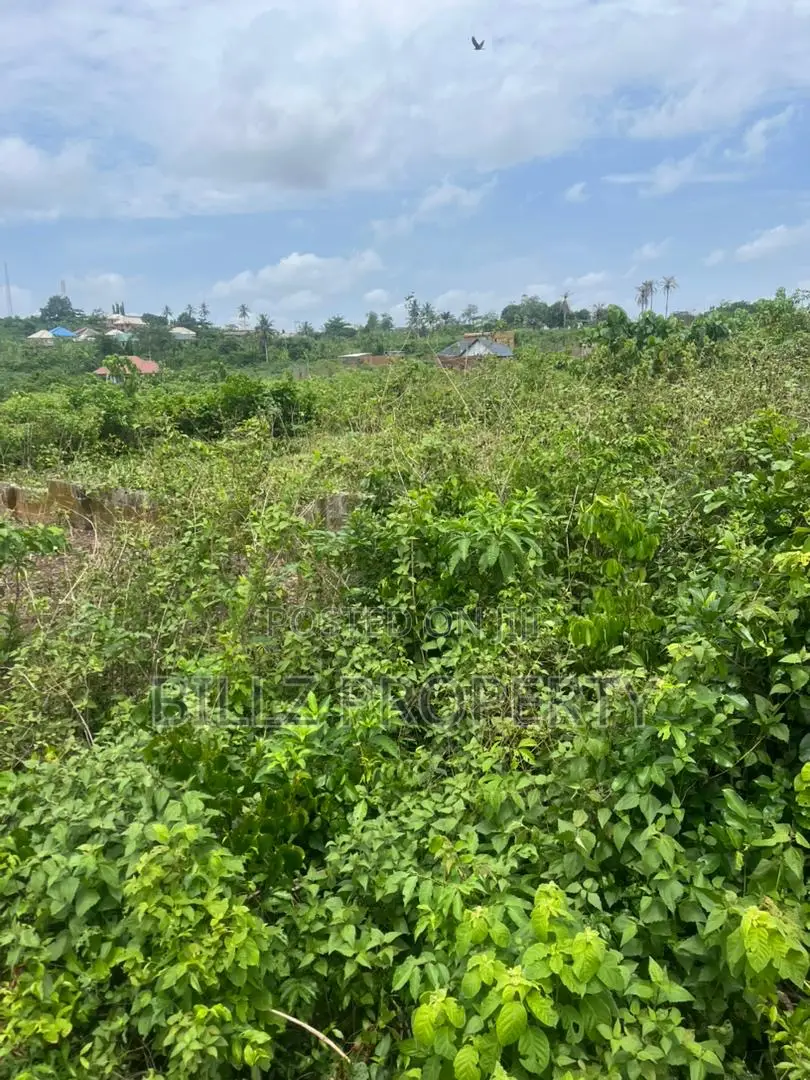 A Complete Full Plot of Land in a Serene Environment in Epe