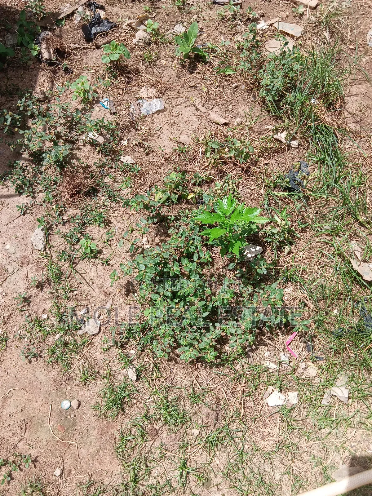 5000+ SQM Mixed (Jv) Joiiint Vvennture Victoria Island in Victoria Island