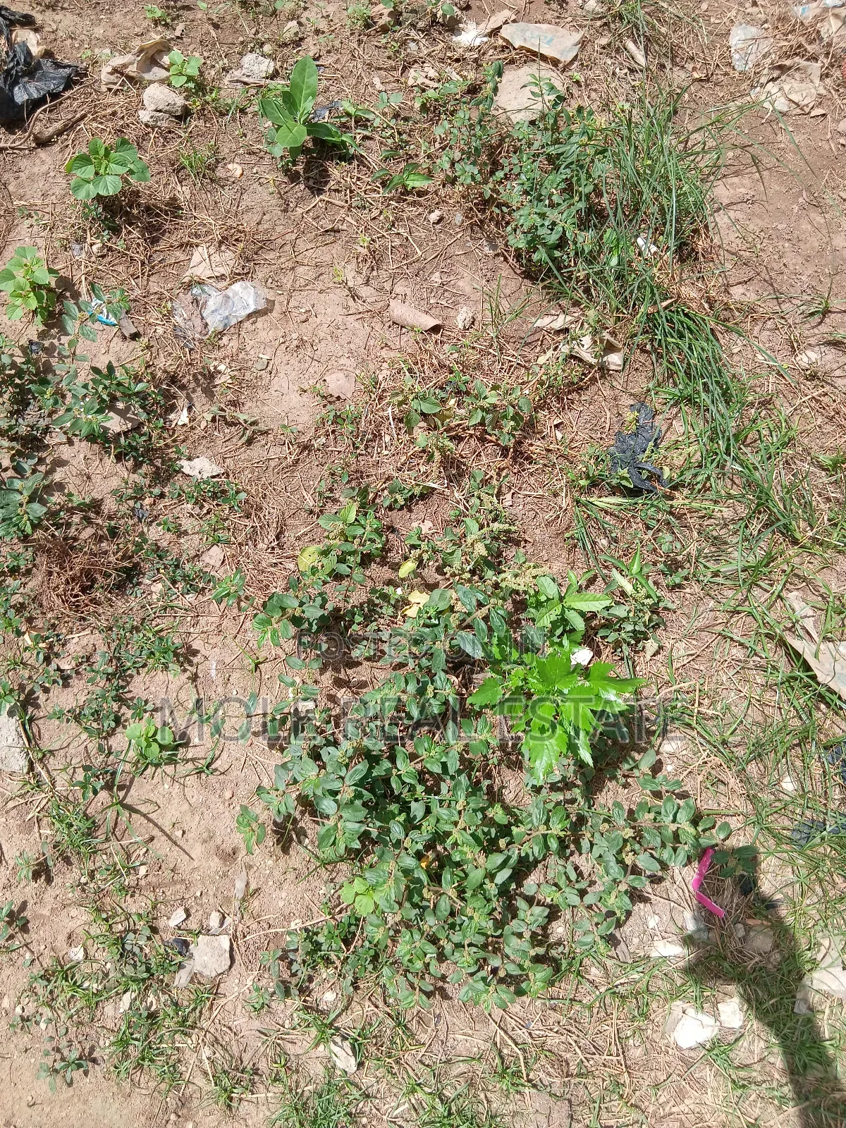 650sqm Plot Spark Light Estate Opic Via Ojodu Beger in Isheri North