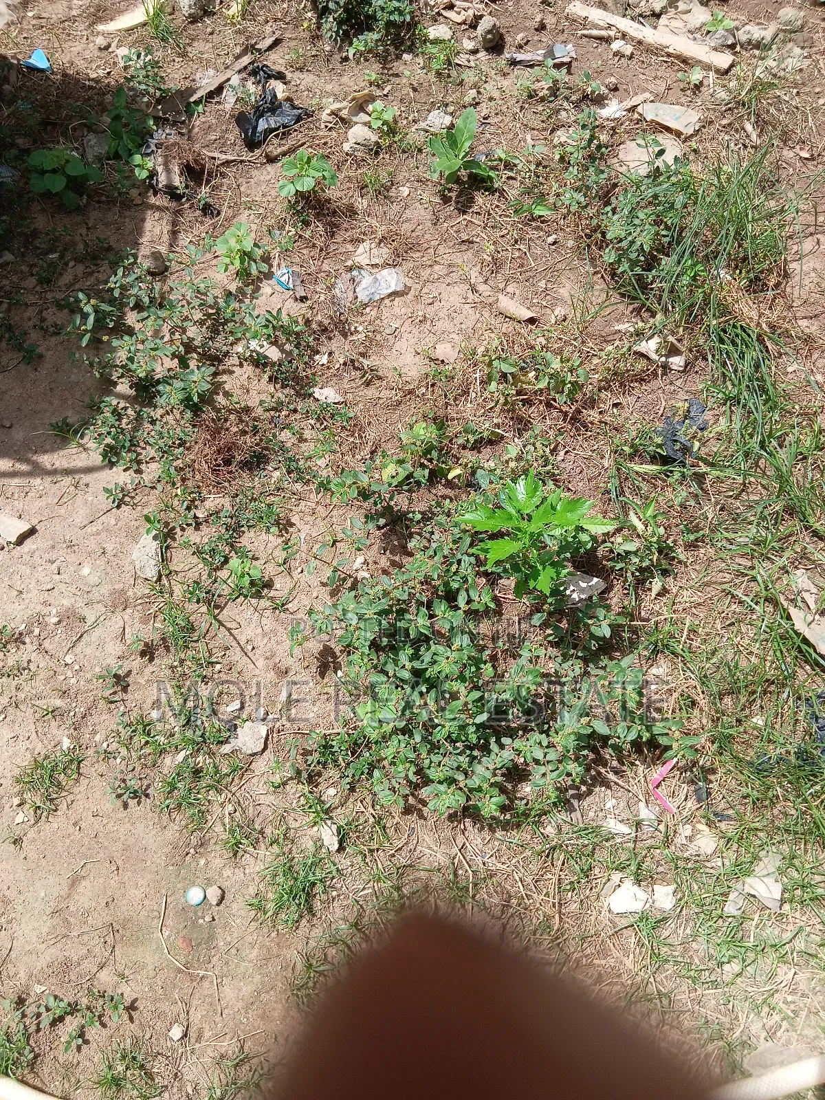 650sqm Plot 4 Sale Orange Island Estate in Victoria Island