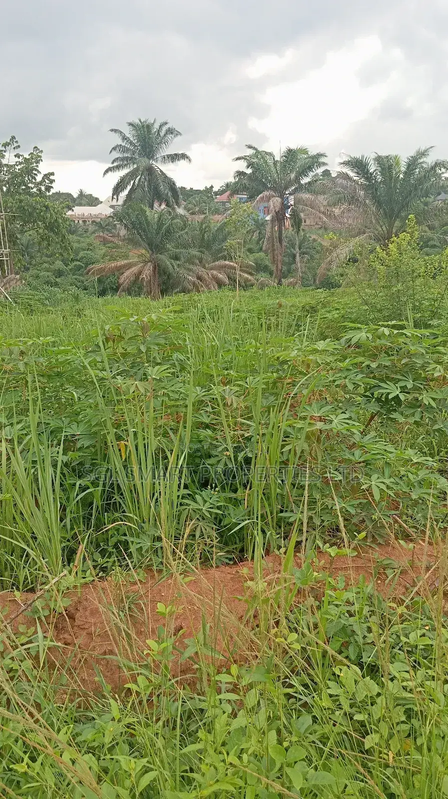 Land for Sale at Nibo in Awka