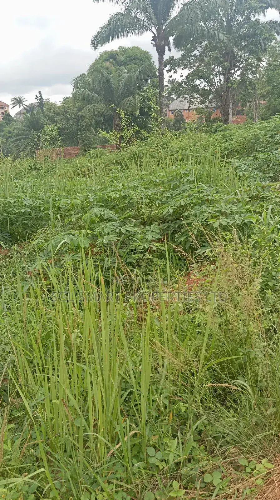 Land for Sale at Nibo in Awka