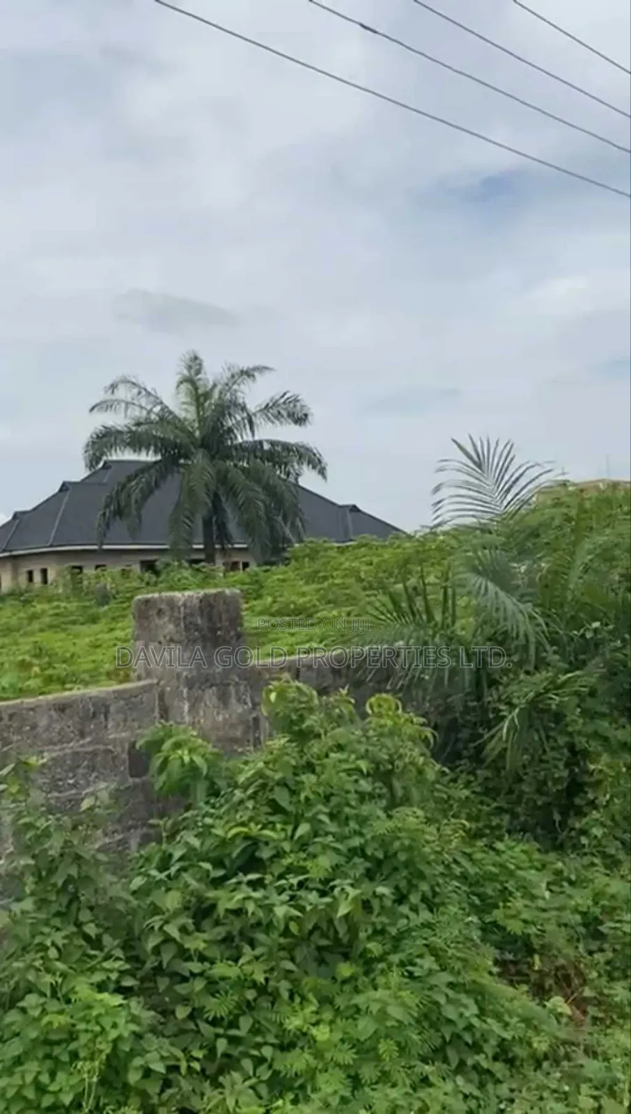 Alert  Nice and Affordable Land for Sale at Amagba. in Benin City
