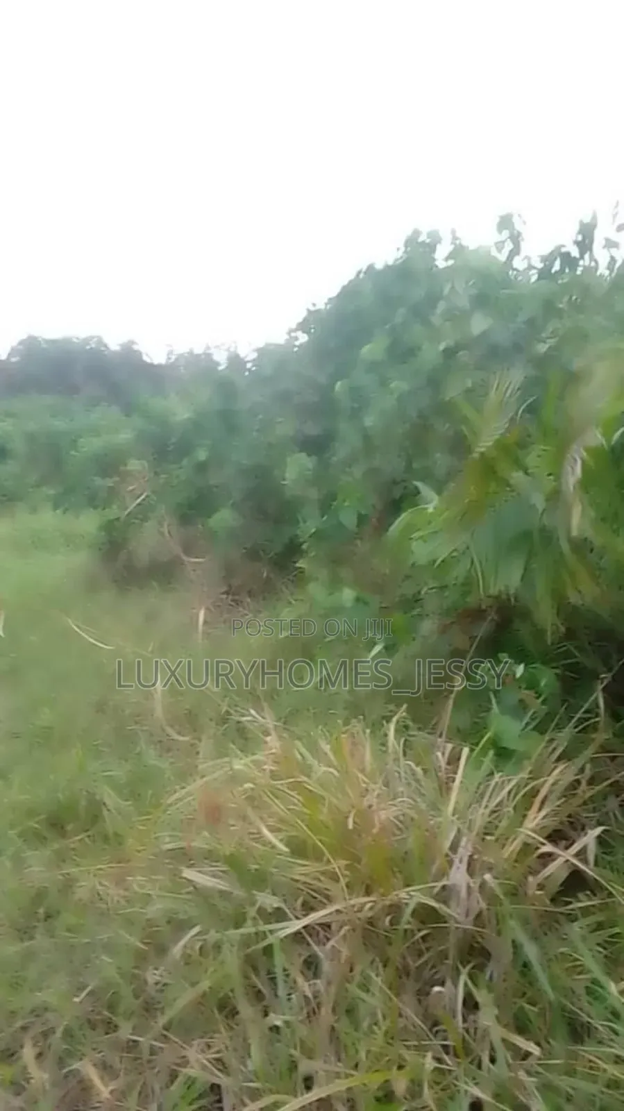 Distress Massive 200 Plots of Land for Sale at Enugu Agidi in Awka