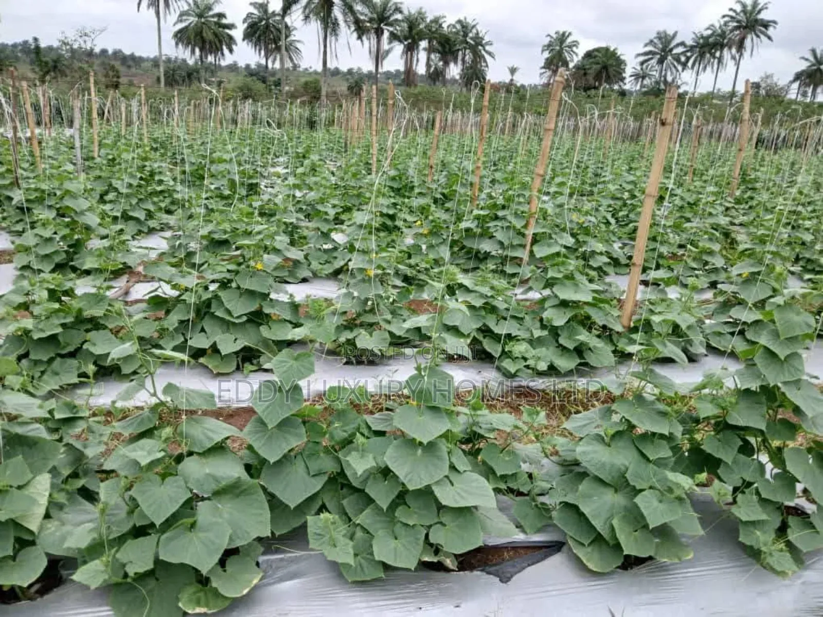 Acres of Lands for Sale in Uyo