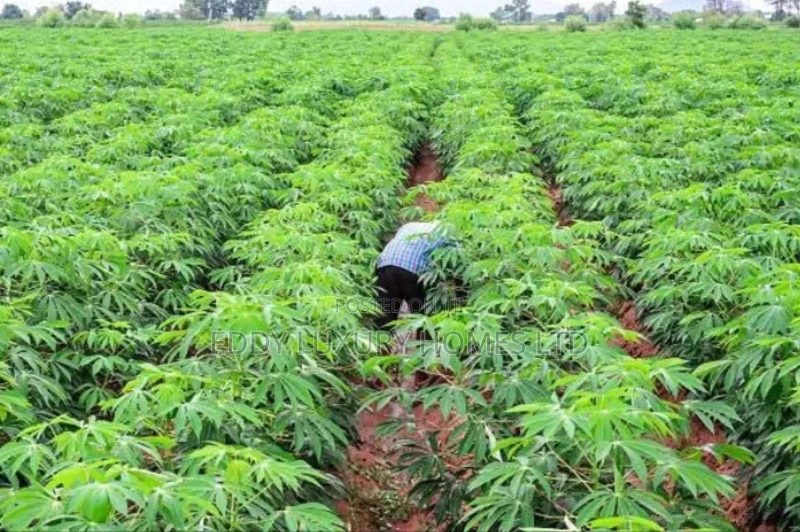 Acres of Lands for Sale in Uyo