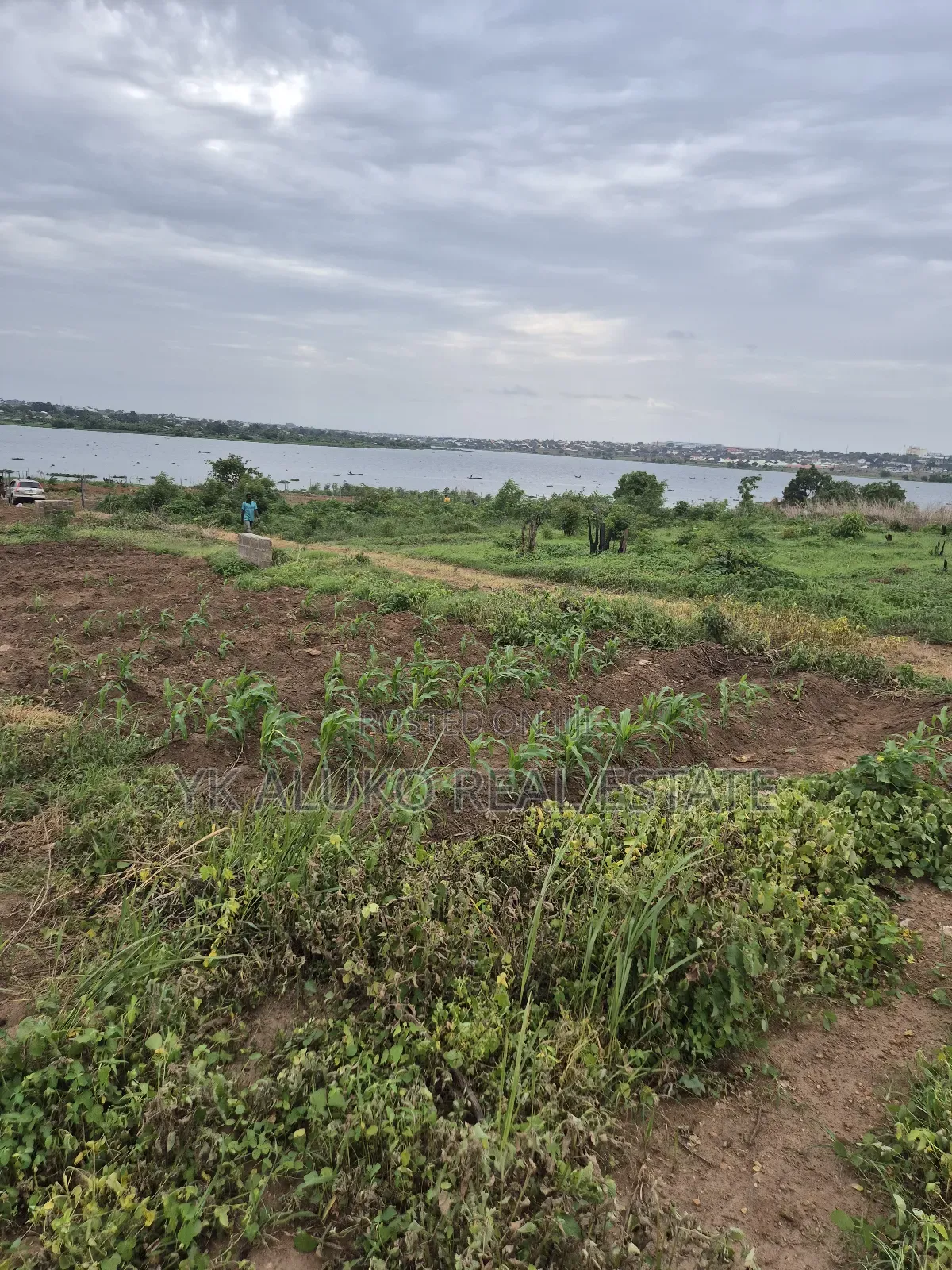 Certificate of Occupancy Global in Ilorin South