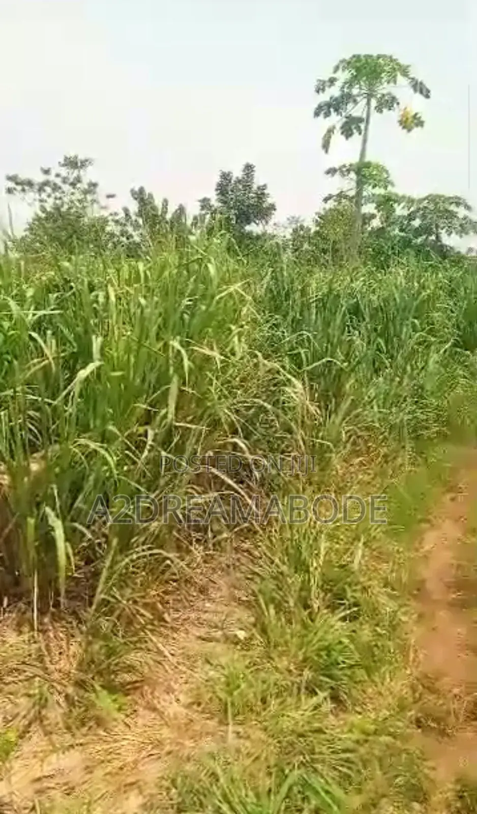 Standard Prime Plot in Obafemi-Owode