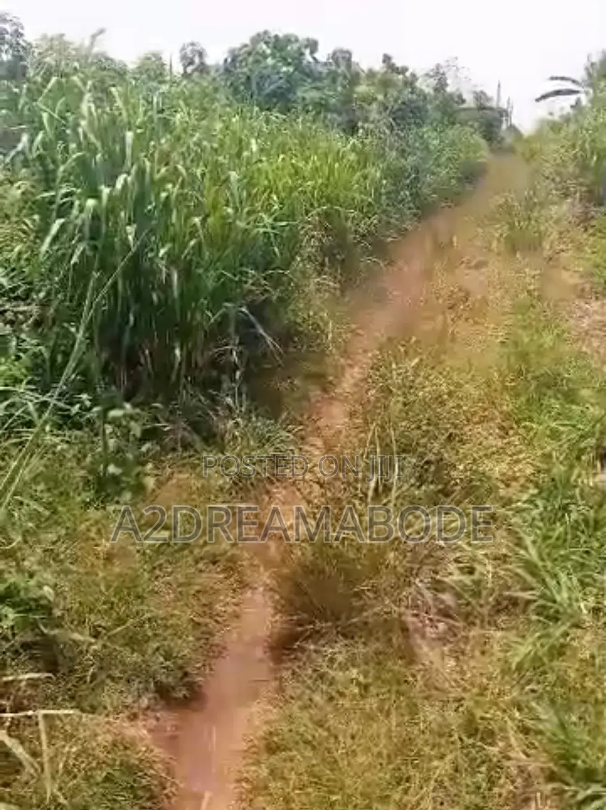Standard Prime Plot in Obafemi-Owode
