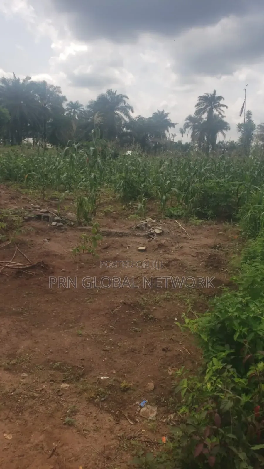 55 Plots Of Land Available For Sale In Owerri in Owerri