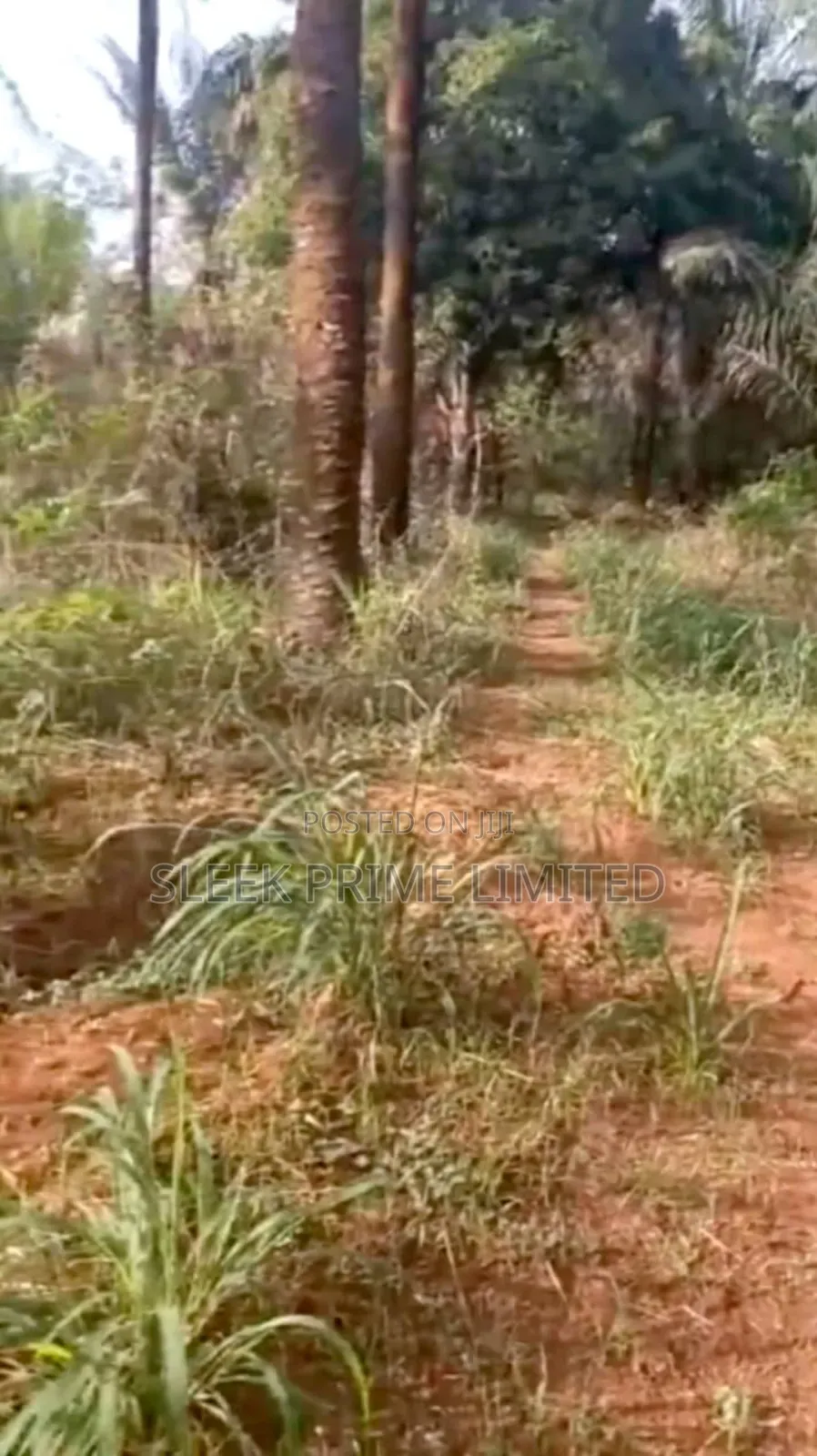 10 Plots of Land for Sale at Nsukka in Nsukka